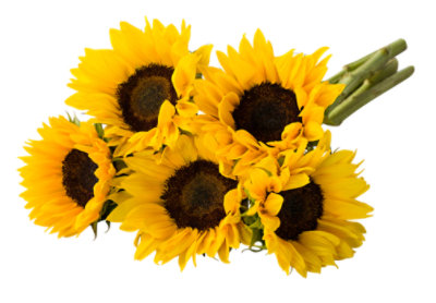 Sunflowers Bunch - EACH