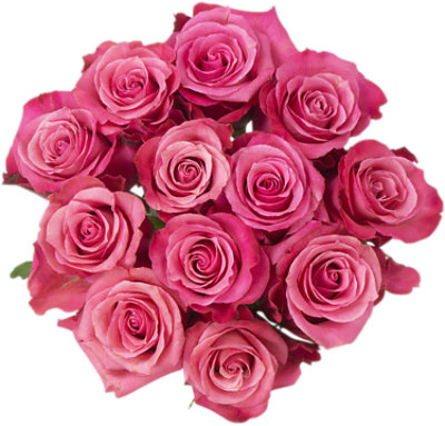 Overjoyed Boutique Dozen Pink Rose Bunch - Each - Image 1