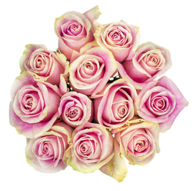 Dozen Pink Rose Bunch - Each - Image 1