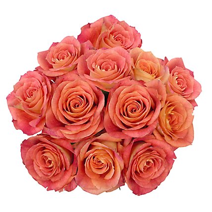 50/50 Premium Ecuadorian Roses 12 Stem - Each - Image 1