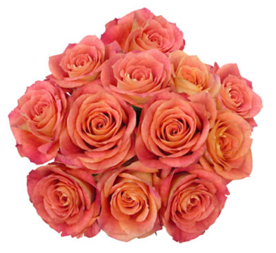 50/50 Premium Ecuadorian Roses 12 Stem - Each