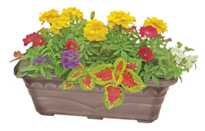 Prm Planter Bx 1.6gl - EACH - Image 1