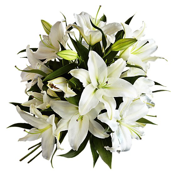 White Oriental Lily - 3 ST