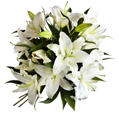 White Oriental Lily - 3 ST