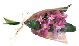 Debi Lilly Bouquet Orchid Spray - EA