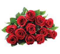 Roses Premium Ecuadorian 12st Red - EA