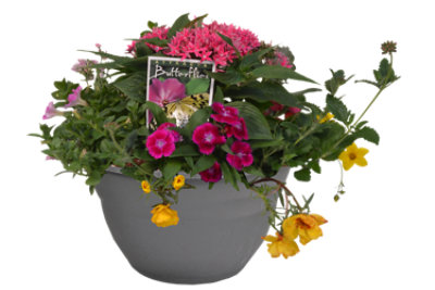 Butterfly Planter 12 Inch - EA - Image 1