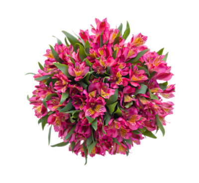 Overjoyed Boutique Alstroemeria - Each - Image 1