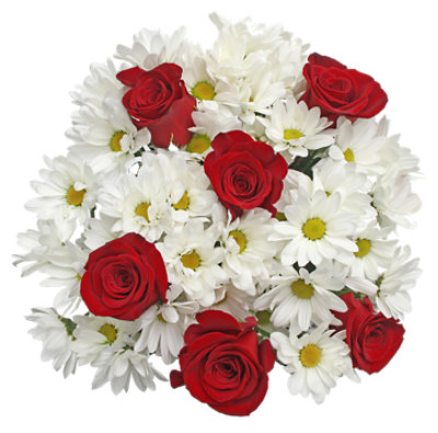 Rose Pom Bouquet - EA - Image 1