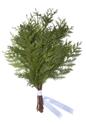 Evergreen Bouquet