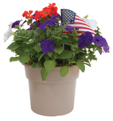 Red White & Blue Pltr. 10 Inch - EA - Image 1