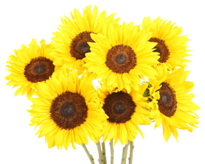 Bouquet Grads Rock 8pk - EA - Image 1