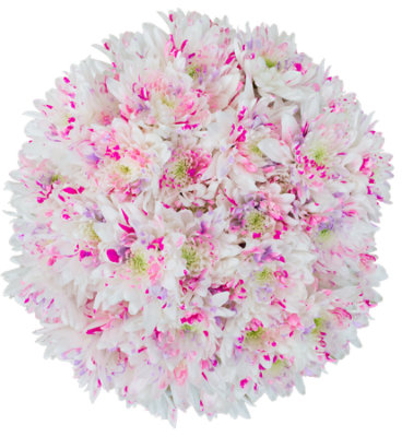 Cupcake Pom Bouquet - Each - Image 1