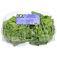 O Organics Living Lettuce - 2 CT - Image 4