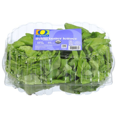 O Organics Living Lettuce - 2 CT - Image 2