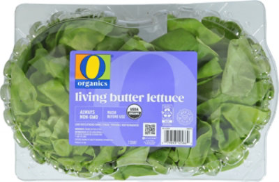 O Organics Living Lettuce - 2 CT - Image 1