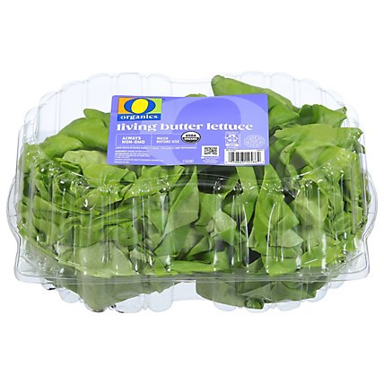 O Organics Living Lettuce - 2 CT - Image 1