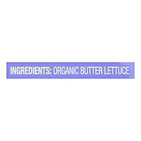 O Organics Living Lettuce - 2 CT - Image 5