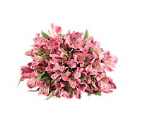 Alstroemeria - 7 Count (colors may vary)