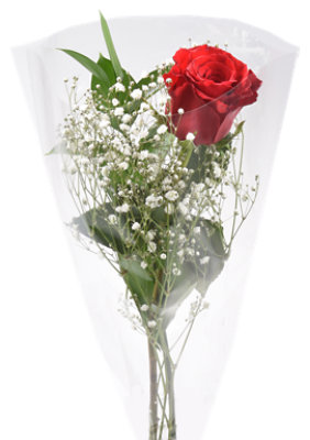 Rose Single With Filler - 1 STEM - Image 1