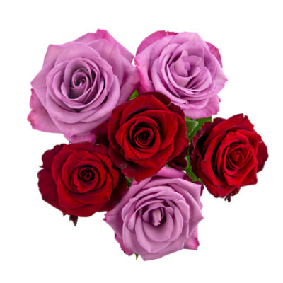 Overjoyed Boutique Petite Duo - Each - Image 1