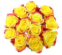 Rose Color Dozen Bouquet - Each (colors may vary)
