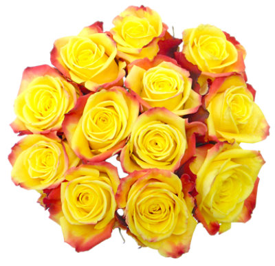 Rose Color Dozen Bouquet - Each (colors may vary) - Image 1