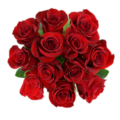 Overjoyed Boutique Rose Arrangement Custom - 12 Stem - Image 1