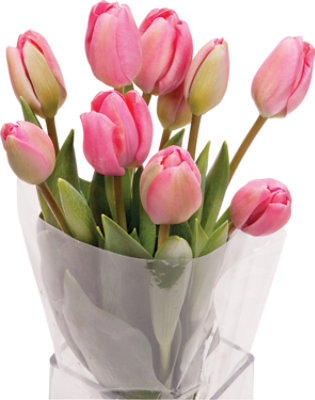 Tulips Cut 20 Stem - Each - Image 1