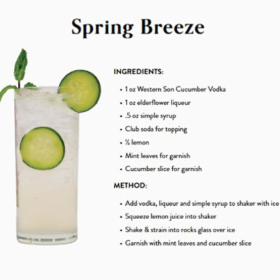 Western Son Vodka Cucumber - 750 ML - Image 1