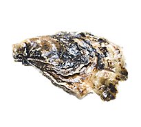Oysters Blue Point Live 1oz - EA
