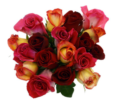 Rose Bunch Dozen Festival - Each - Image 1