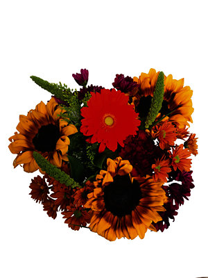 undefined - Image 1