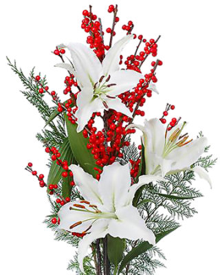 Oriental Lily Cedar Ilex - EA - Image 1