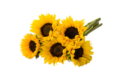 Signature SELECT 5 Stem Sunflower - Each