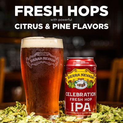 Sierra Nevada Seasonal Craft Beer In Cans - 12-12 Oz - Image 3