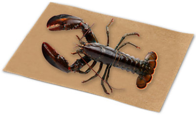 Lobster Live 2-3 Lb Service Case - Each - Image 1
