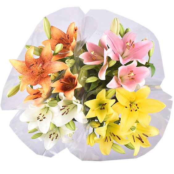 Asiatic Lily 3 Stem - Each