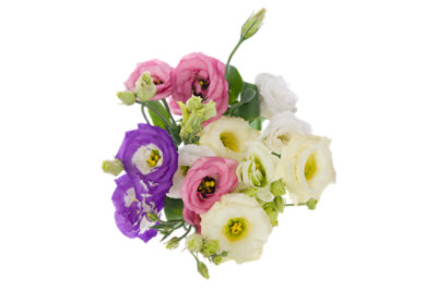 Lisianthus - 5 STEM - Image 1