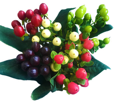 Hypericum - EA - Image 1