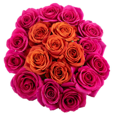 Debi Lilly Majestic Rose - EA - Image 1