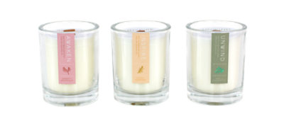 Debi Lilly Design Everyday Scented 4x4.5 Pillar - Each - Image 1