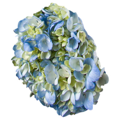 Debi Lilly Hydrangea 3 Stem - Each (colors may vary)
