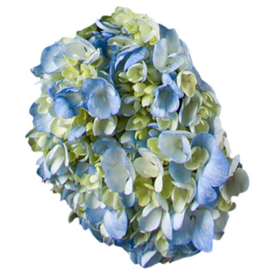 Debi Lilly Hydrangea 3 Stem - Each (colors may vary) - Image 1