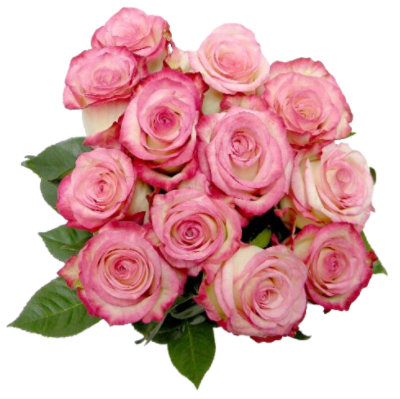 Color Rose Bouquet Dozen - Each (colors may vary) - jewelosco