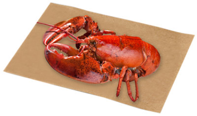 Lobster Steamed Chilled Medium Fresh Service Case 1 Count - Between 1-1.5 Lbs - Image 1