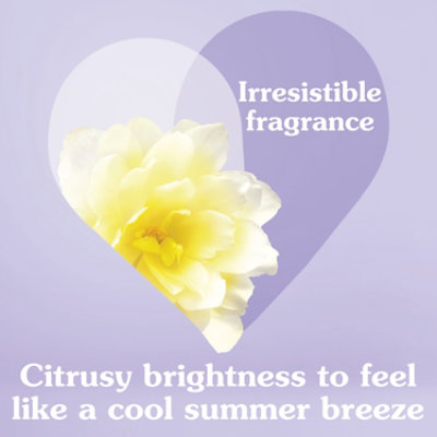 Suavitel Fabric Softener Morning Sun - 120 Fl. Oz. - Image 8