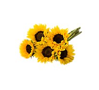 Sunflower Yellow - 5 STEM