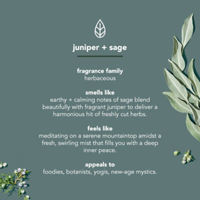 Mensbw Juniper N Sage - 18 FZ - Image 3