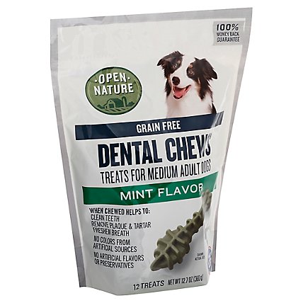 Open Nature Dog Treats Dental Mint Chews Regular - 12.7 OZ - Image 1